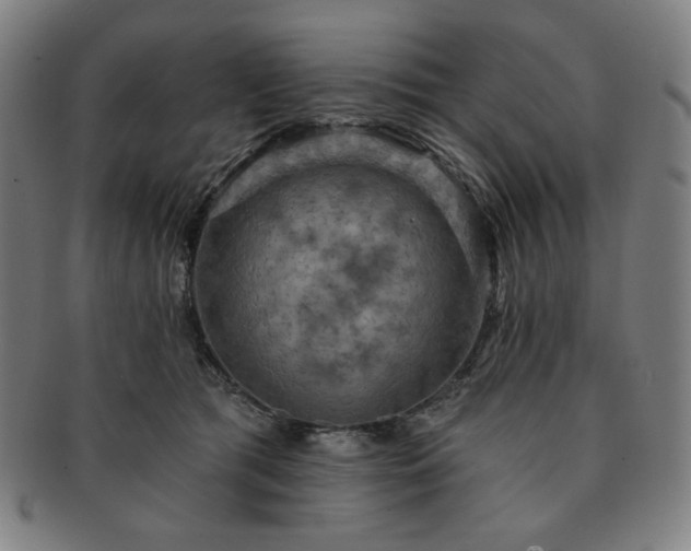 X0000091460417200708231321