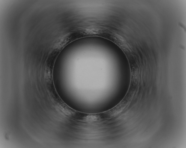 X0000091460418200708231321