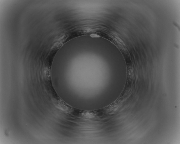 X0000091460419200708231320