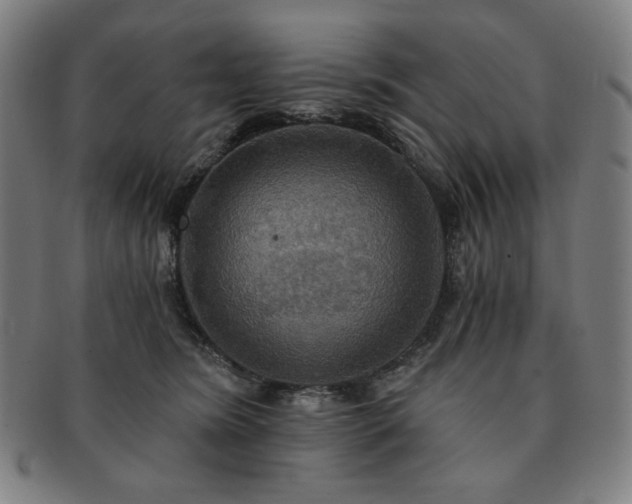 X0000091460420200708231320