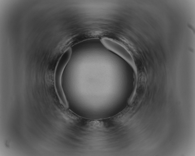X0000091460421200708231320