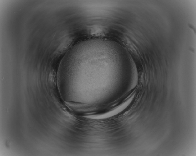 X0000091460424200708231320