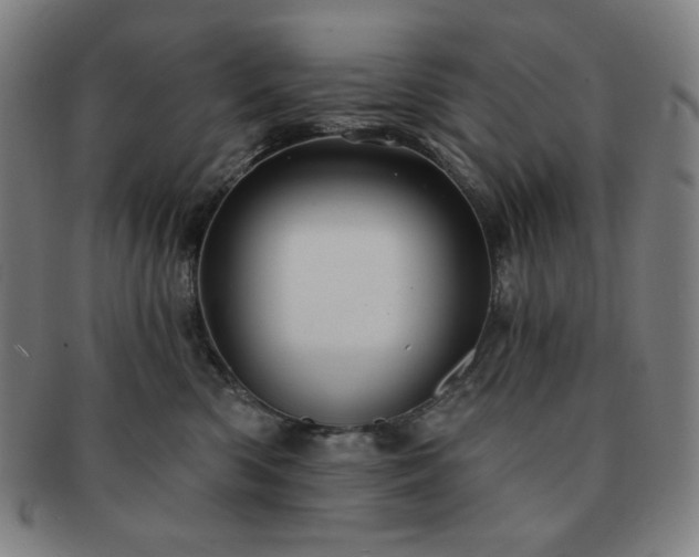 X0000091460426200708231320