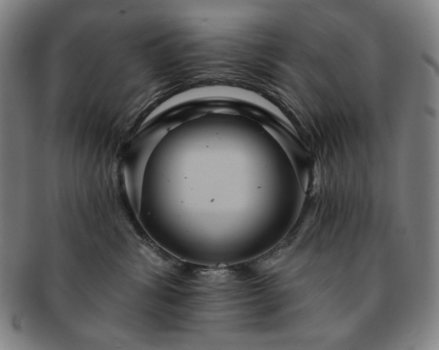 X0000091460428200708231320