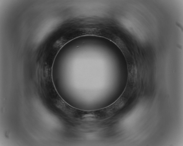 X0000091460430200708231320
