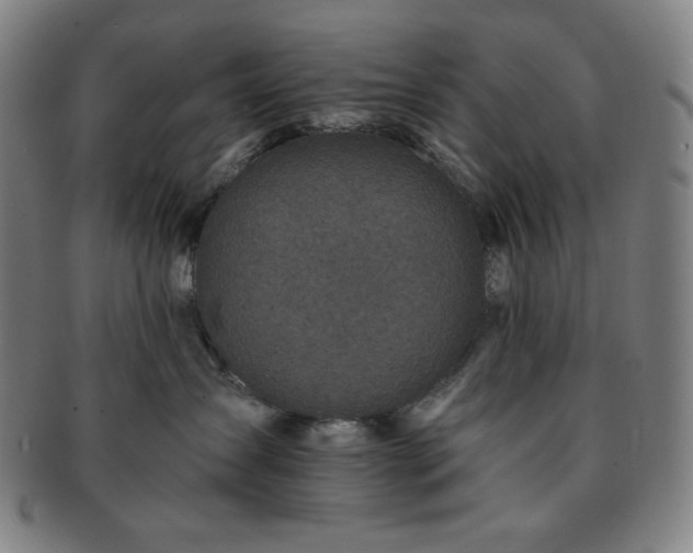 X0000091460431200708231320
