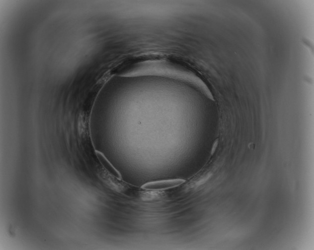 X0000091460432200708231320