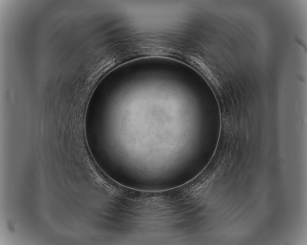 X0000091460433200708231320