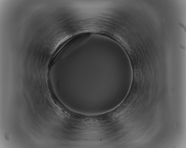 X0000091460434200708231320