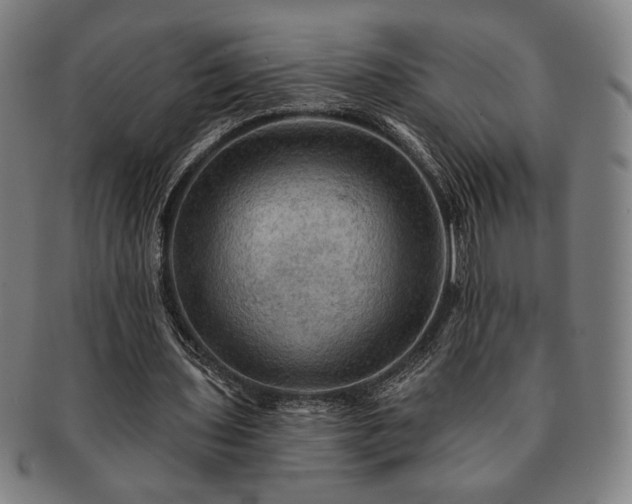 X0000091460435200708231320