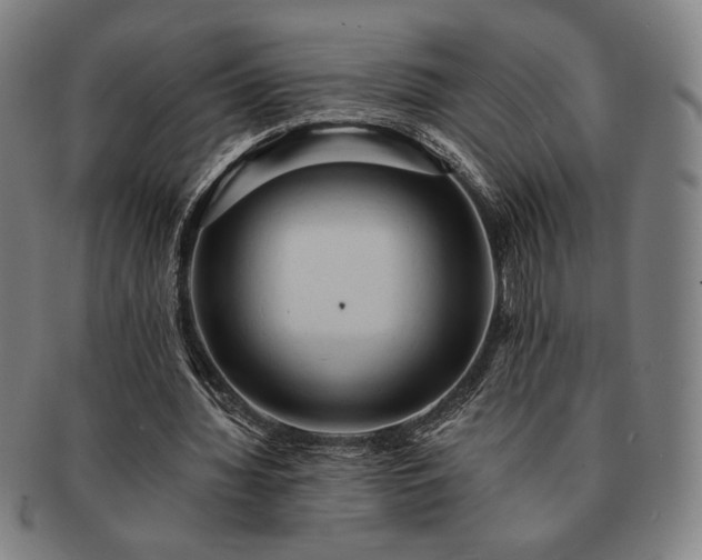 X0000091460436200708231320