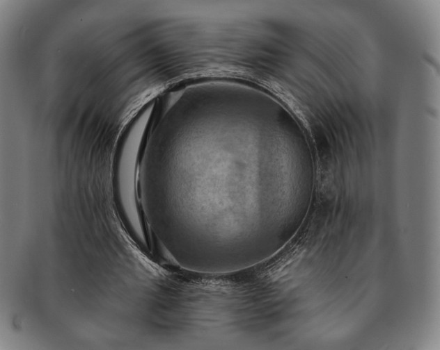 X0000091460437200708231320