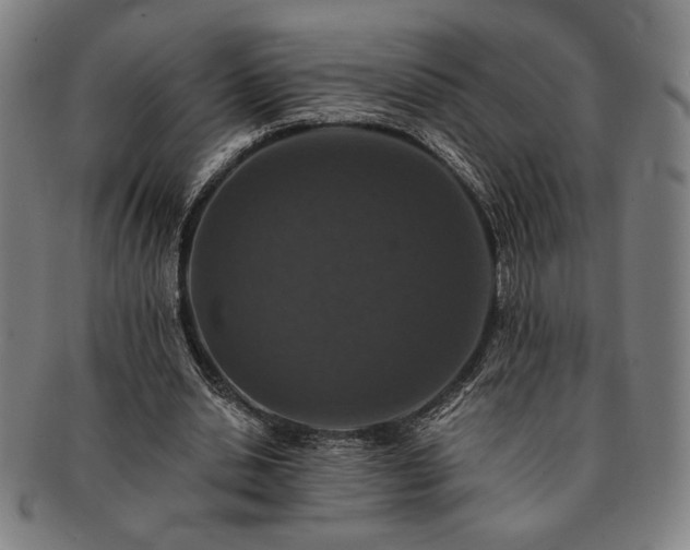 X0000091460438200708231320