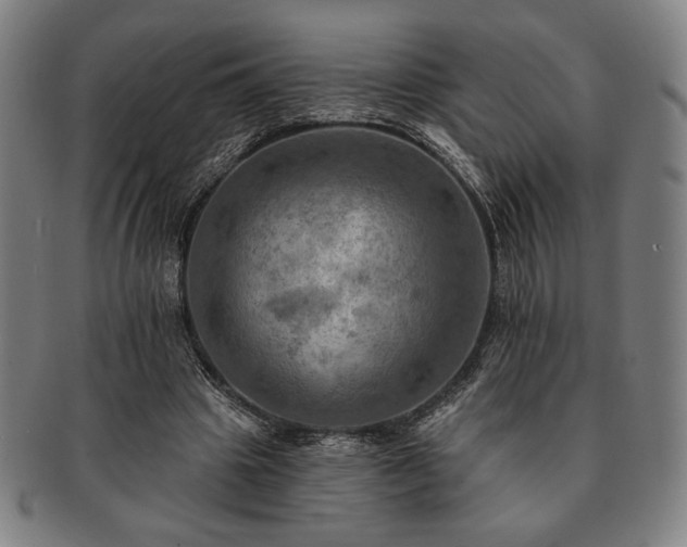 X0000091460441200708231320