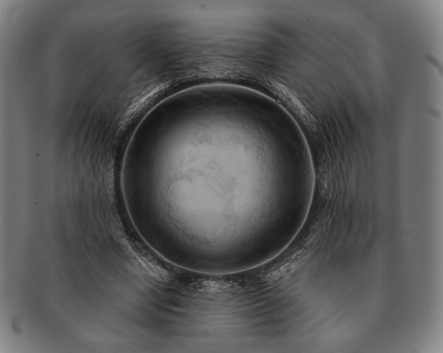 X0000091460442200708231320