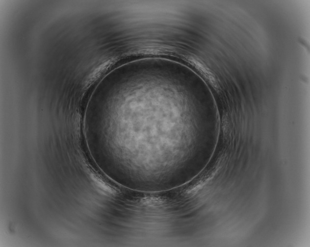 X0000091460445200708231320