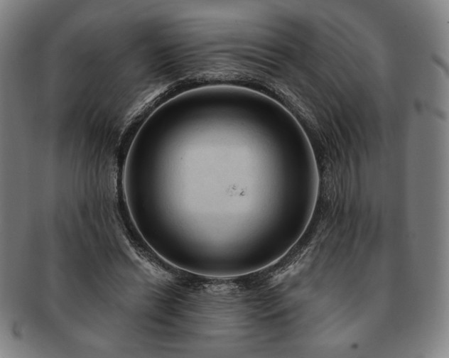 X0000091460446200708231320