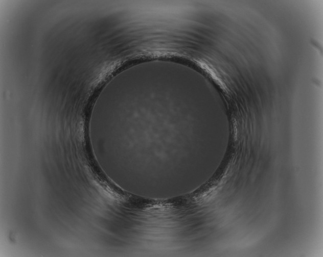 X0000091460447200708231320