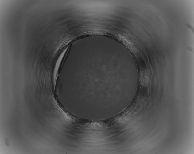 X0000091460449200708231320