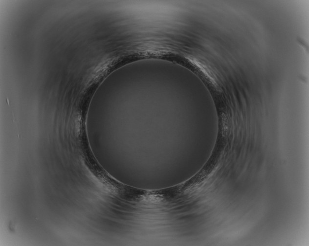 X0000091460451200708231320