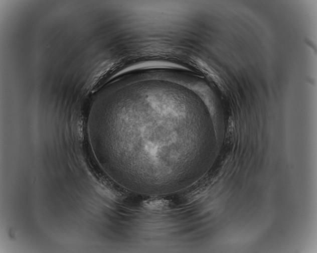 X0000091460452200708231320