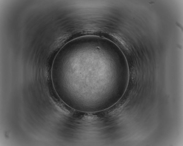 X0000091460455200708231320