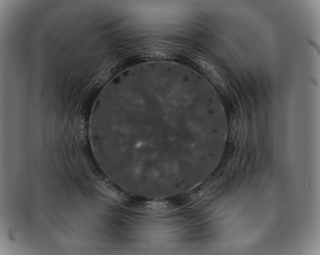 X0000091460457200708231320