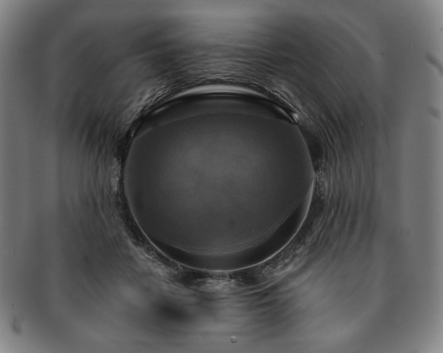X0000091460458200708231320