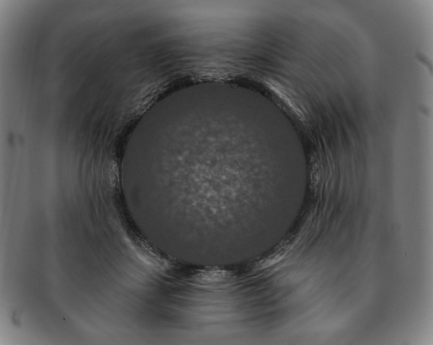 X0000091460459200708231320