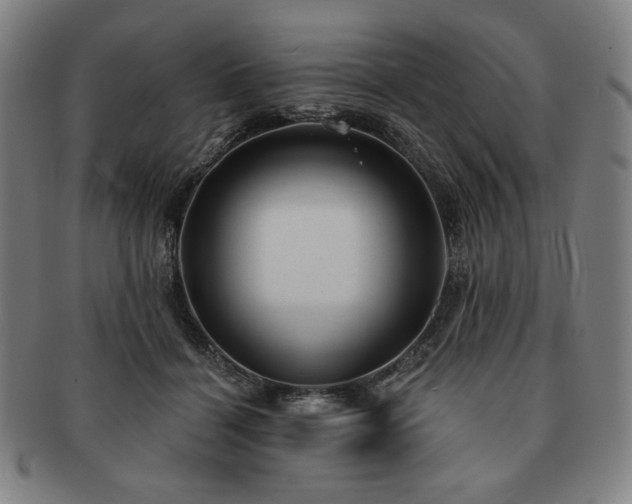 X0000091460460200708231320