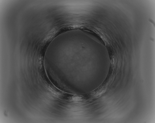 X0000091460462200708231320