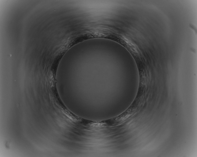 X0000091460465200708231320