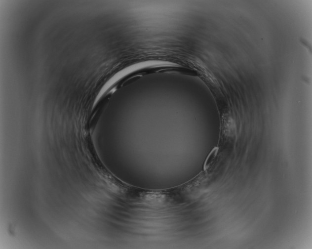 X0000091460471200708231320