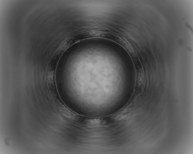 X0000091460473200708231320