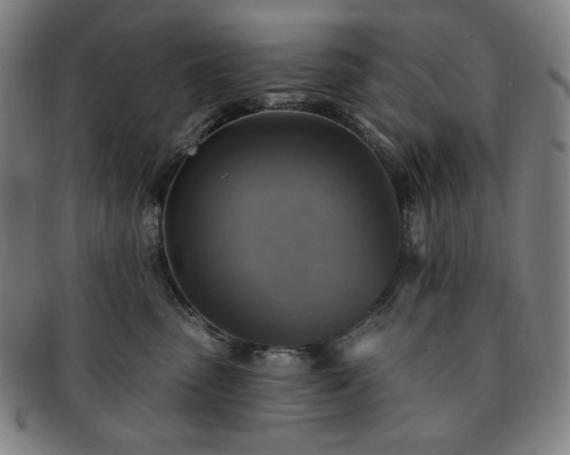 X0000091460475200708231320