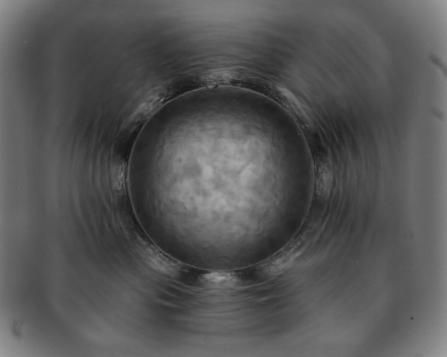 X0000091460477200708231320