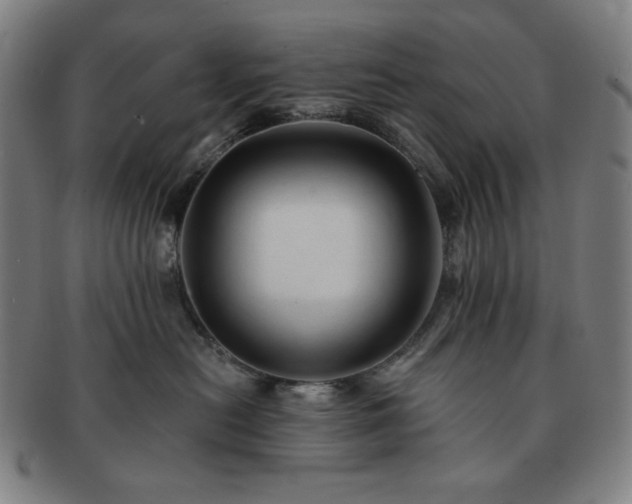 X0000091460478200708231320