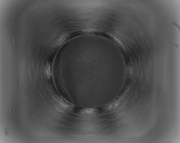 X0000091460479200708231320