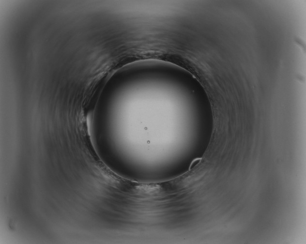 X0000091460480200708231320