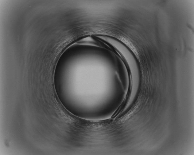 X0000091460481200708231320