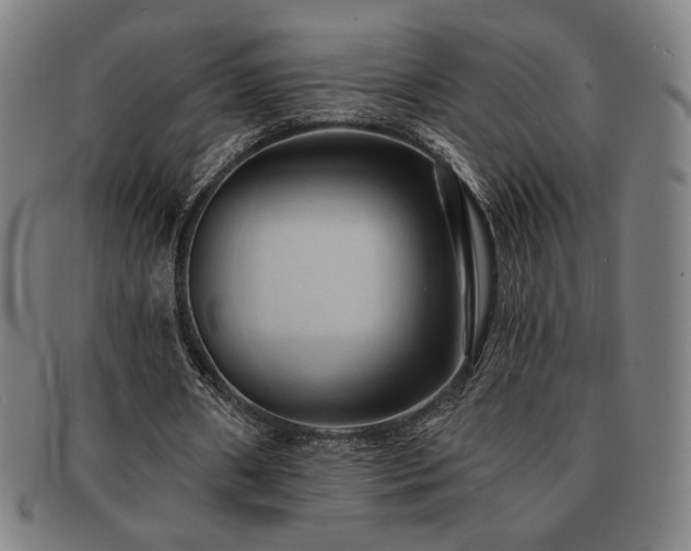 X0000091460482200708231320