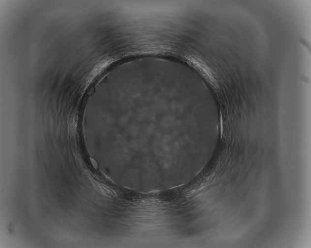 X0000091460483200708231320