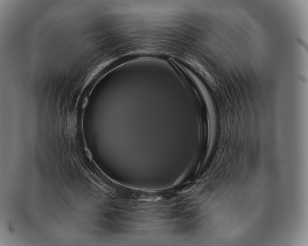 X0000091460484200708231320