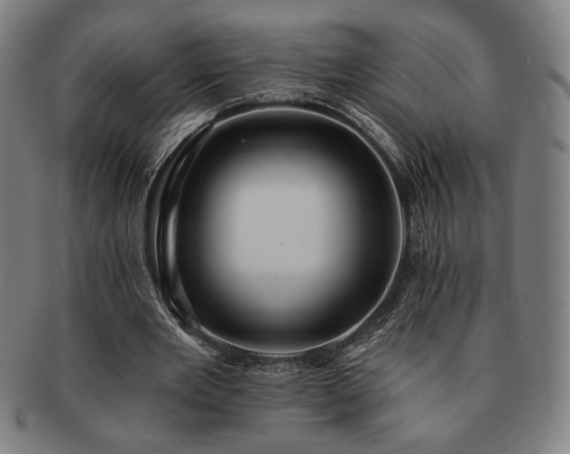 X0000091460485200708231320