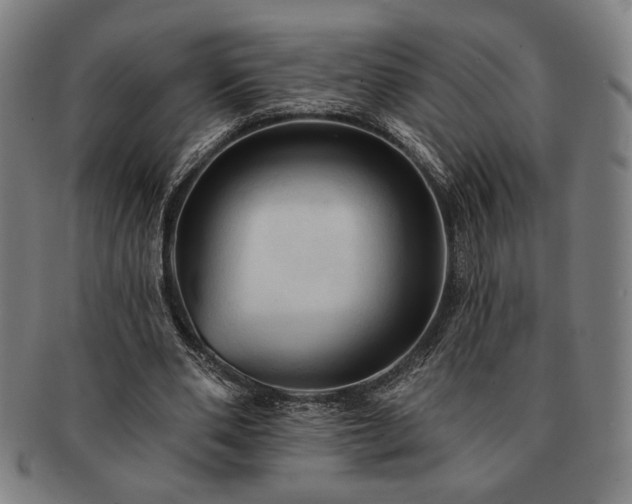 X0000091460486200708231320