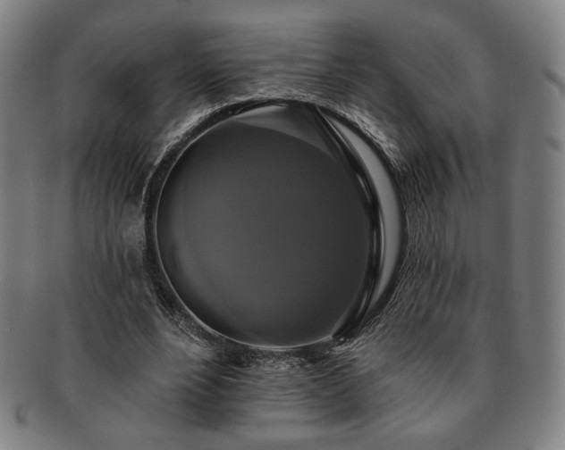 X0000091460488200708231320