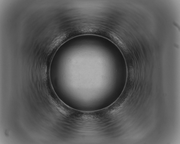 X0000091460490200708231320
