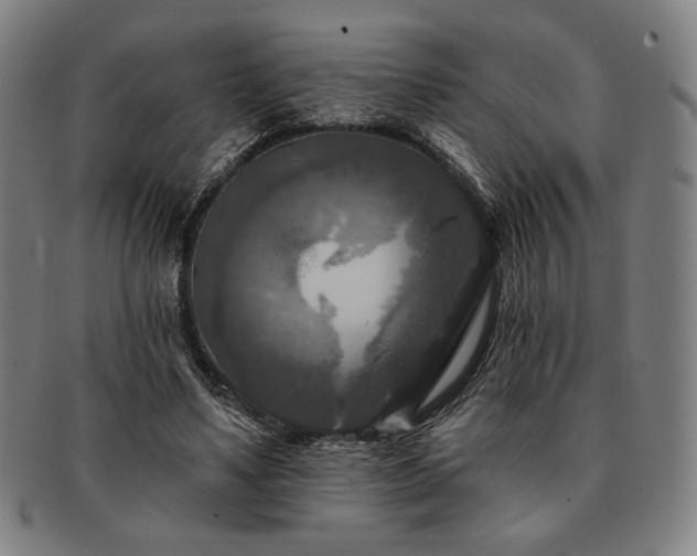 X0000091460491200708231320