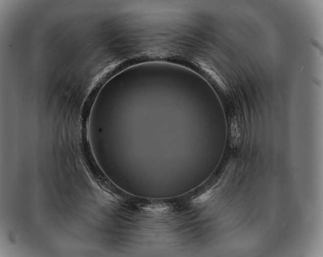 X0000091460492200708231319