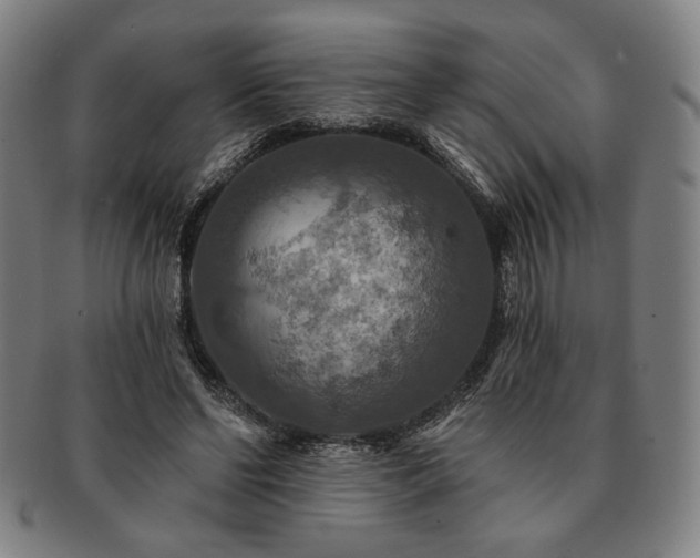 X0000091460494200708231319